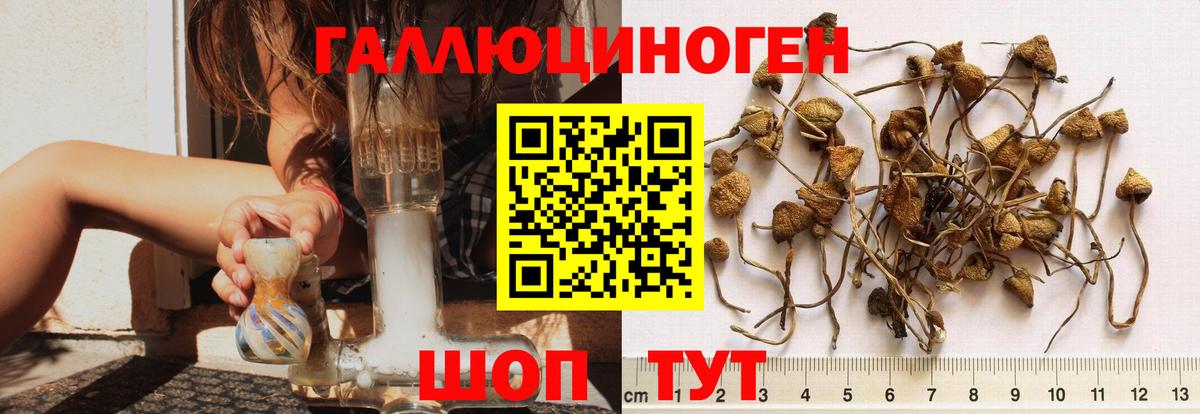 Галлюциногенные грибы ЛСД Ипатово